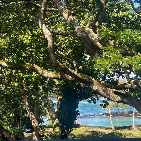Ocean View Mauna Loa Shores Kai Ekahi #201 Next To Carlsmith Beach Park Hilo Hi Екстериор снимка