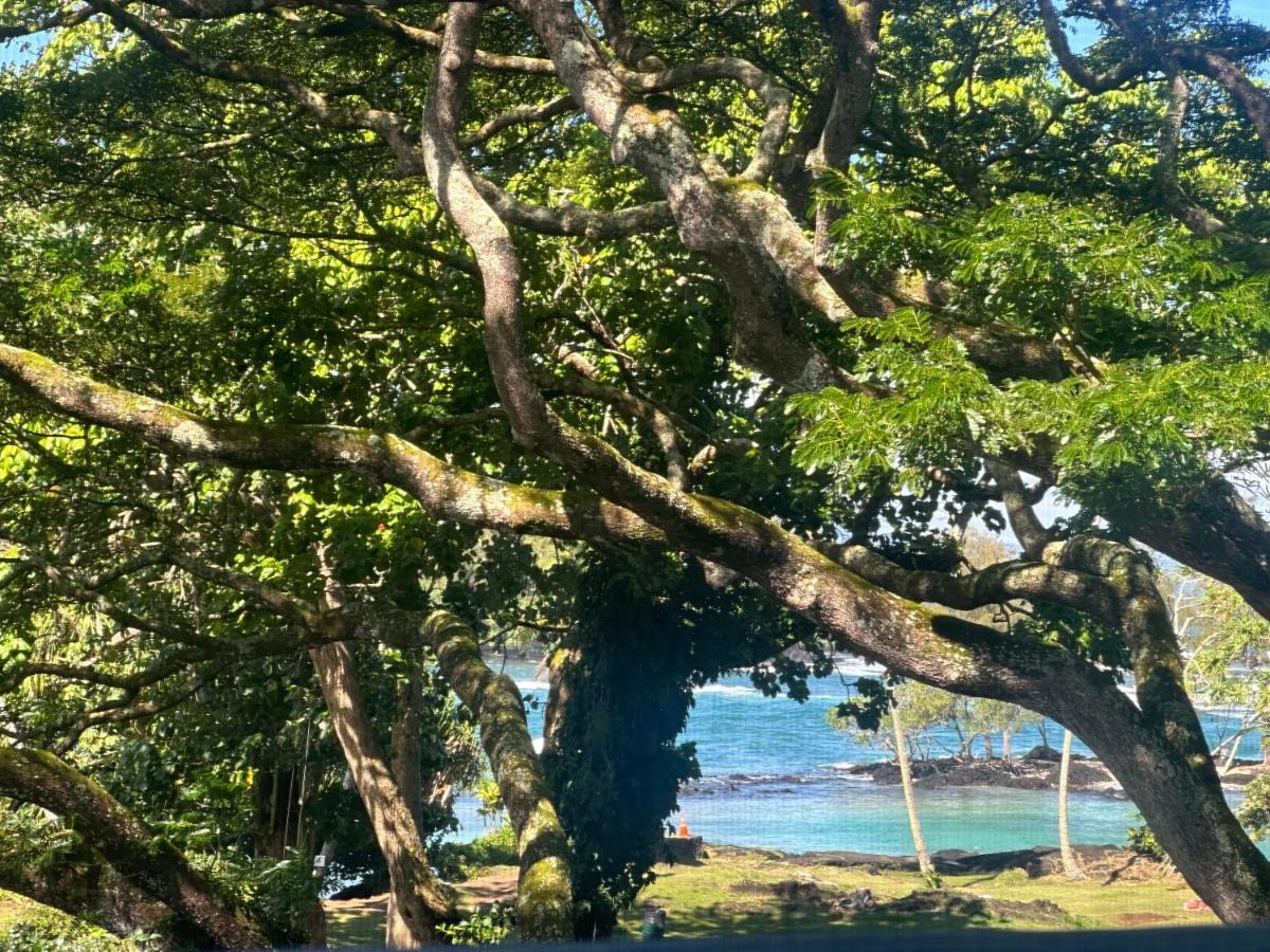 Ocean View Mauna Loa Shores Kai Ekahi #201 Next To Carlsmith Beach Park Hilo Hi Екстериор снимка
